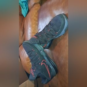 Nike lebron 17 low bred